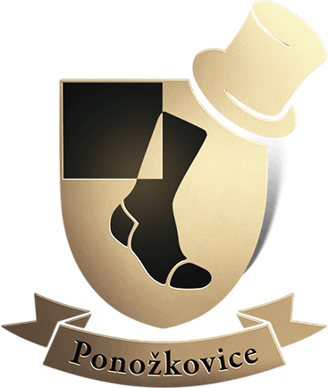Primary Raster logo