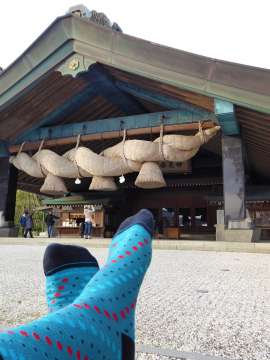 Česká ponožka si prohlíží svět