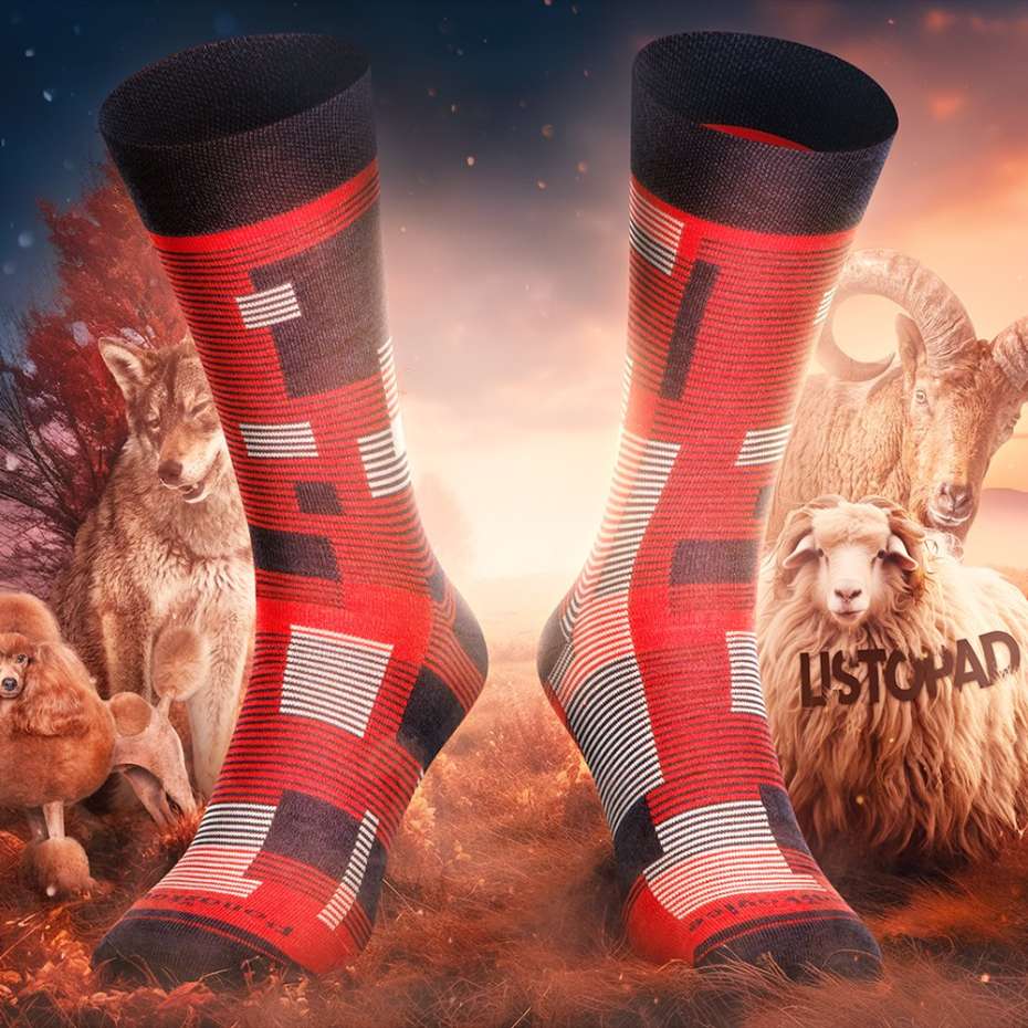 Zázrak zvaný "Merino"