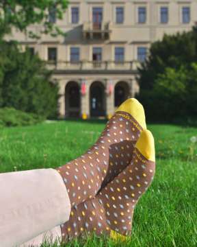 Ponožková vlastivěda